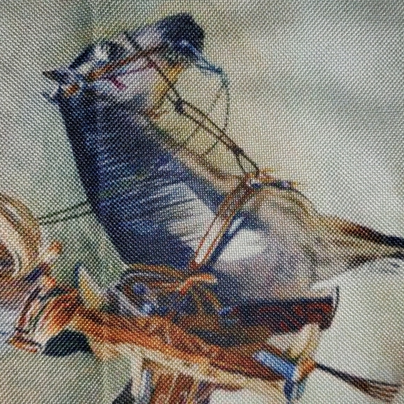 Charro Pillow Cover. Charreria Horse Western Rodeo Caballo - Picture 5 of 11